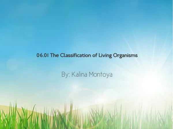 06.01 The Classification Of Living Organisms