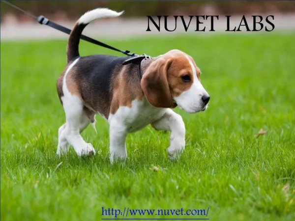 Nuvet Labs - Nvuet Reviews - Nuvet Labs Reviews