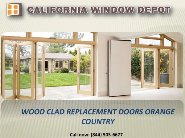 Wood Clad Replacement Doors in Orange Country