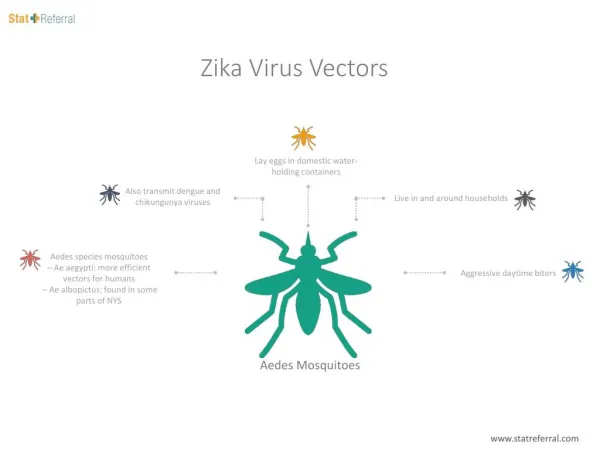 Zika Virus Vectors