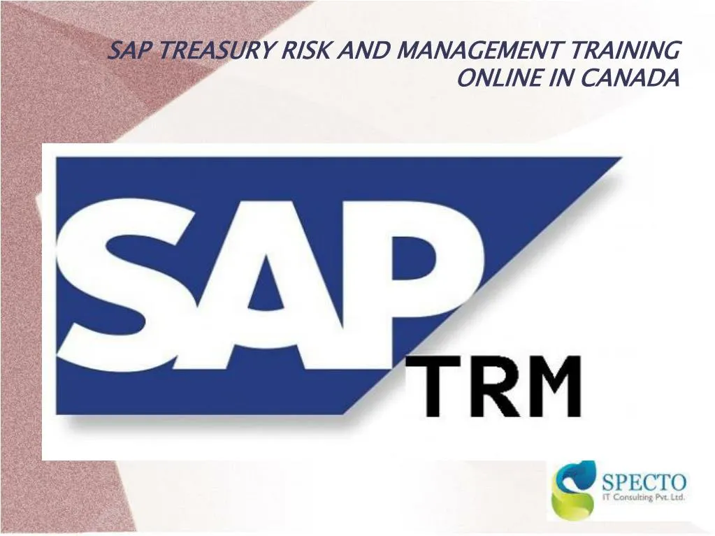 sap treasury risk and management training online in canada