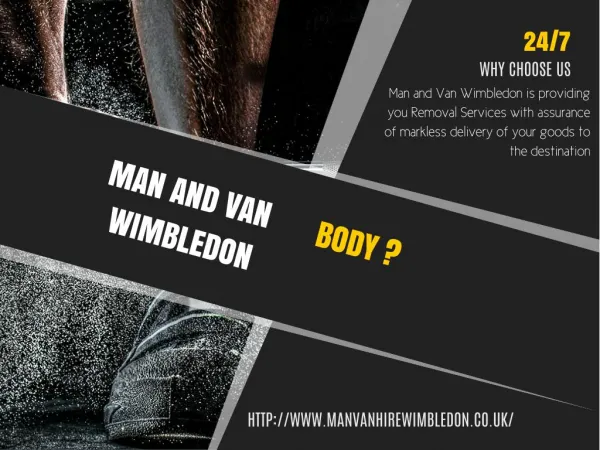 Man and Van Wimbledon