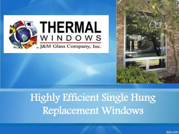 Highly Efficient Single Hung Replacement Windows