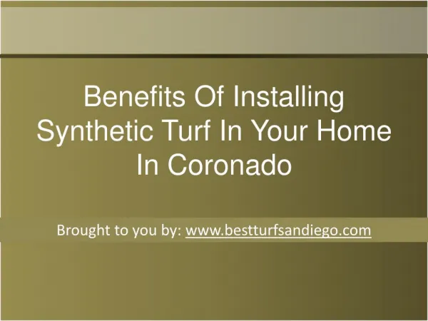 Benefits Of Installing Synthetic Turf In Your Home In Coronado