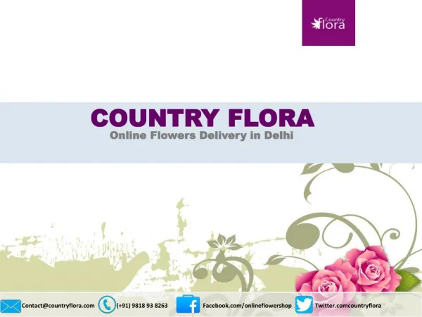 Send Flowers Online With Same DaY Delievry In Any Where In India