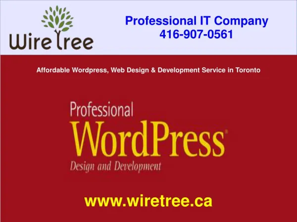 Affordable Wordpress, Web Design and Development Service in Toronto | WireTree