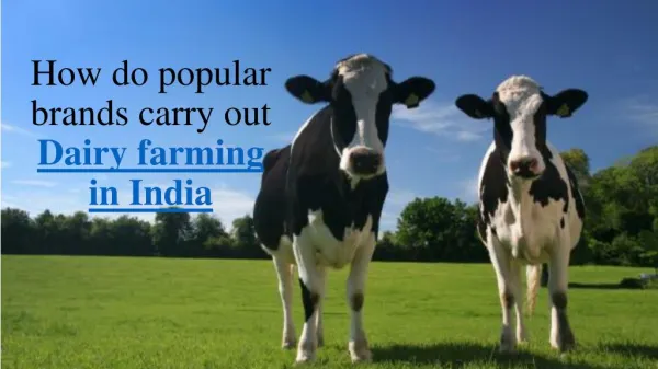 Find everything about dairy farming in india