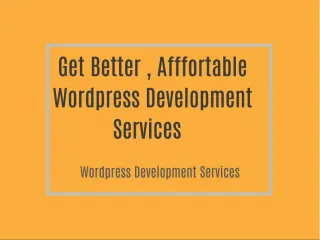 Wordpress development services - slide 1