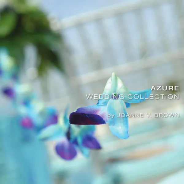 Cayman Weddings Planner Company Celebrations LTD Proudly Introduces the New Azure Wedding Collection