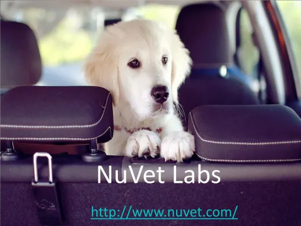 NuVet Labs Reviews - NuVet Plus Reviews
