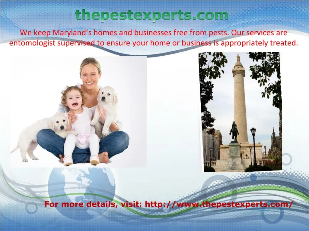 thepestexperts com