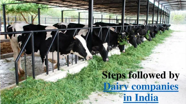 Dairy companies in india