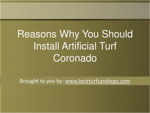 Reasons Why You Should Install Artificial Turf Coronado