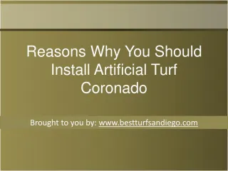 Reasons Why You Should Install Artificial Turf Coronado