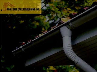 Eavestrough & Gutter Cleaning Solution Ottawa - slide 1