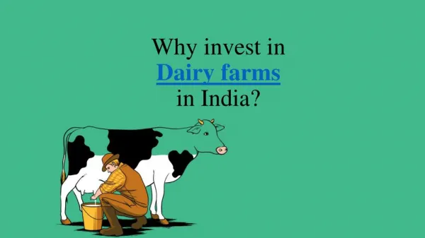 Why Invest in Dairy Farms in India