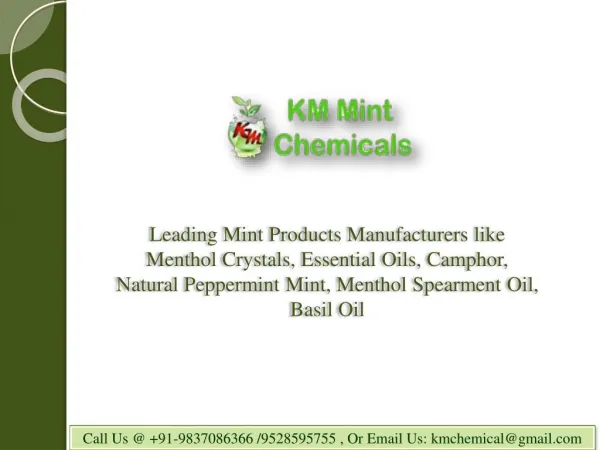 Camphor Manufacturers