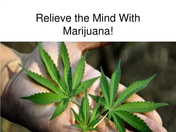 Relieve the Mind With Marijuana!