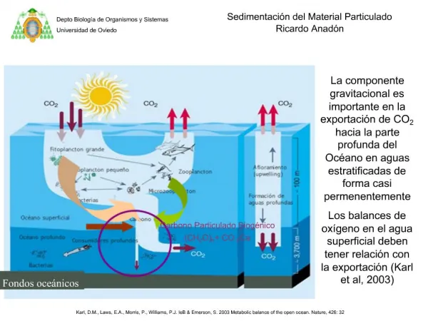 Sedimentaci n del Material Particulado Ricardo Anad n