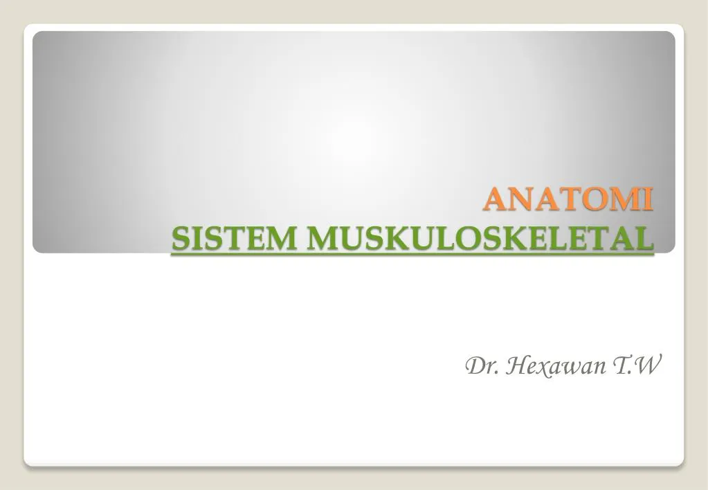 anatomi sistem muskuloskeletal