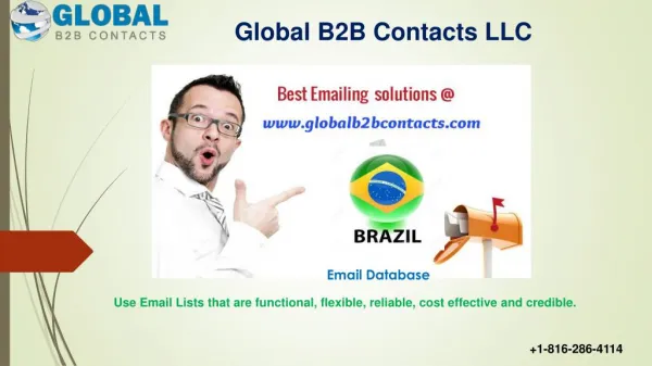 Brazil Business Email Database
