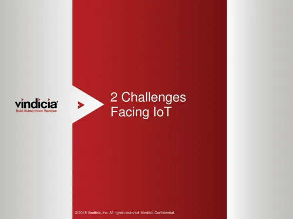 Two Challenges Facing IoT (Internet of Things) | Vindicia