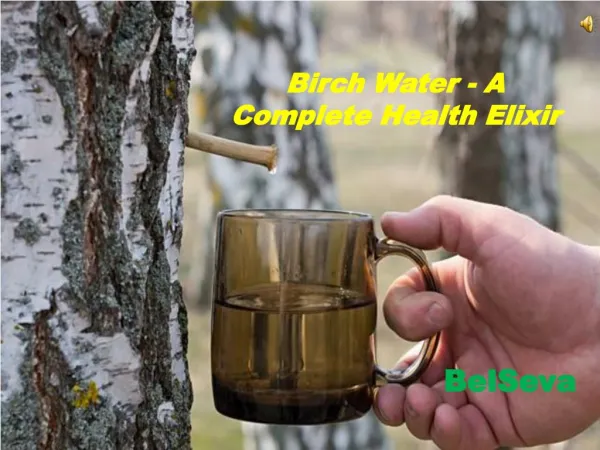 BelSeva Producer of Original Birch Water