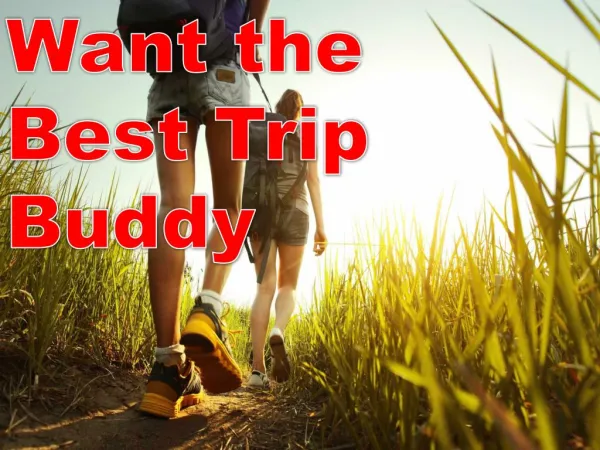 Want the Best Trip Buddy