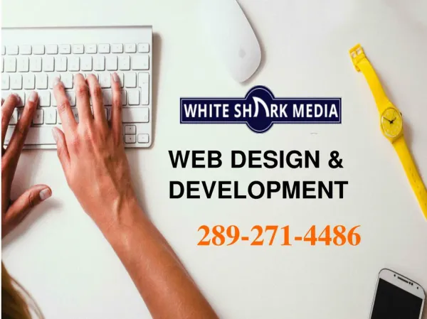 Web Design & Development St. Catharines – White Shark Media | 289-271-4486
