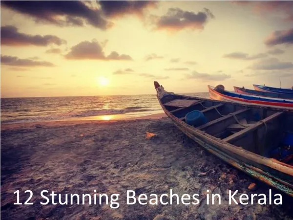 Kerala Beaches : Prime Attractions of Kerala Tourism