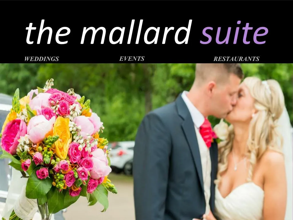 the mallard suite