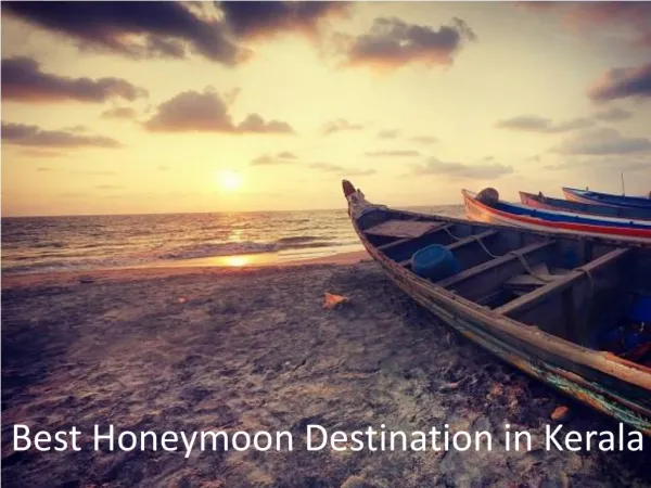 8 Amazing Destinations in Kerala for your Honeymoon