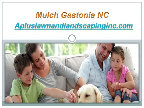 Mulch Gastonia NC - Apluslawnandlandscapinginc.com