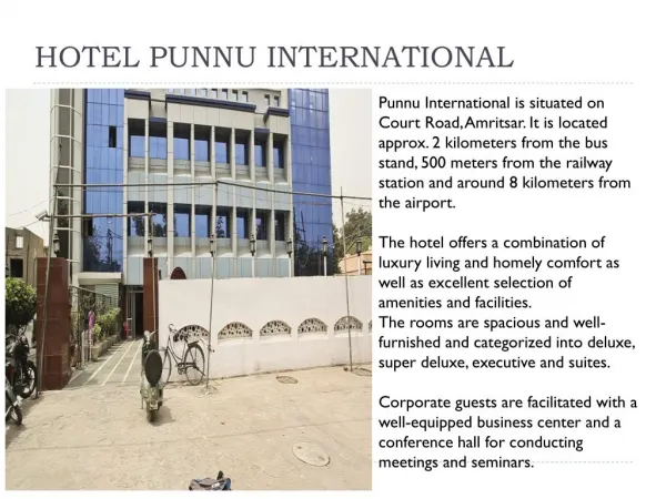 Hotel Punnu International