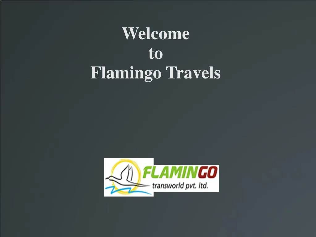 welcome to flamingo travels