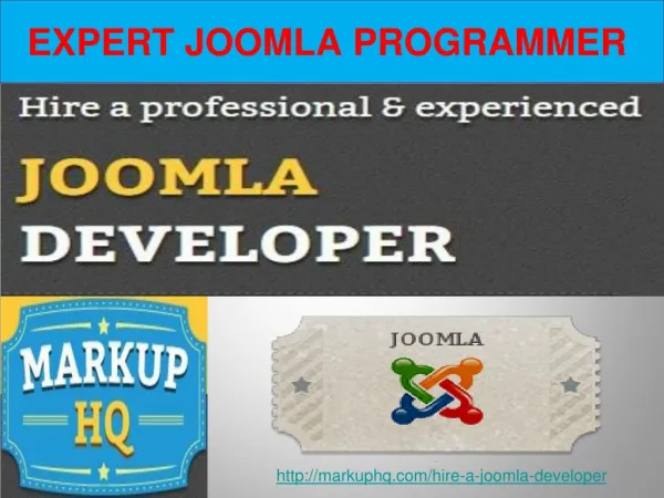 Expert Joomla Programmer