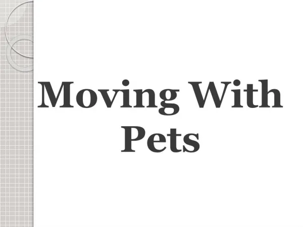 Moving With Pets