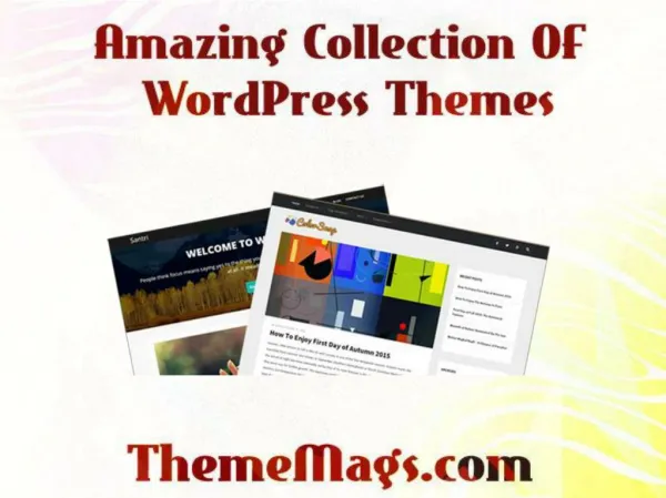 Amazing wordpress themes