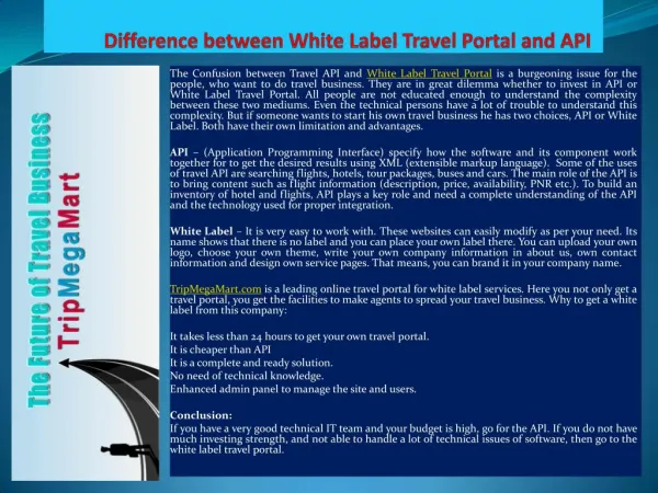 Difference between White Label Travel Portal and API