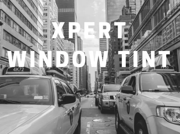 Xpert Window Tint