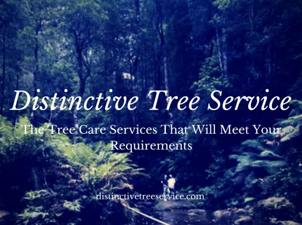 Distinctive Tree Service
