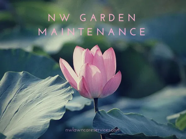 NW Garden Maintenance