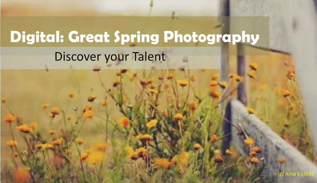 digital great spring photography