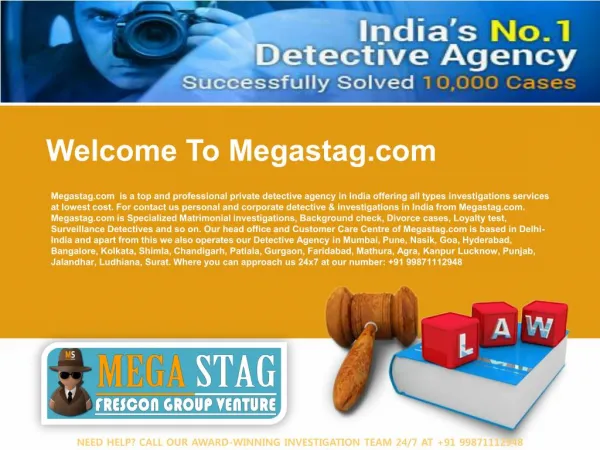 Private Detective Agency | Megastag