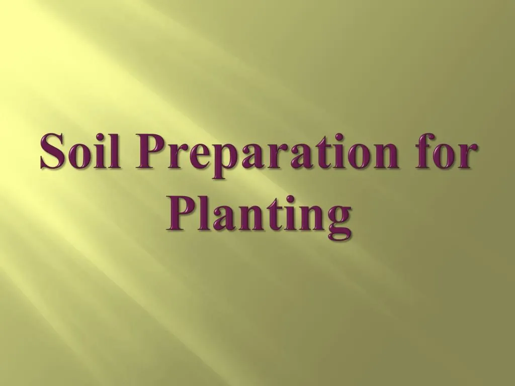 soil preparation for planting