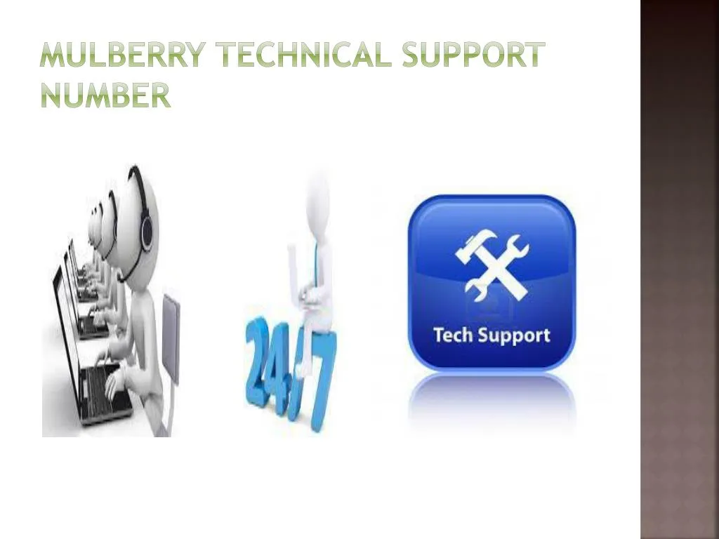 mulberry technical support number
