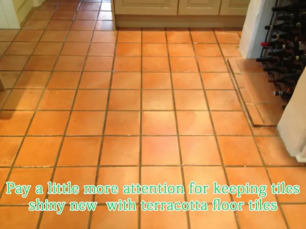 Buy terracotta floor tiles devon- uk