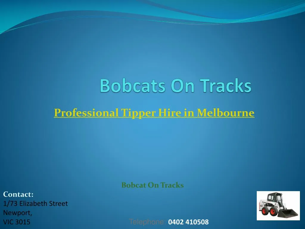 bobcats on tracks