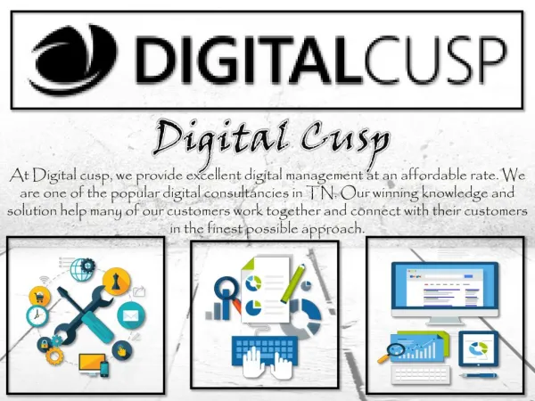 Top Quality Online Digital Marketing by Digital Cusp