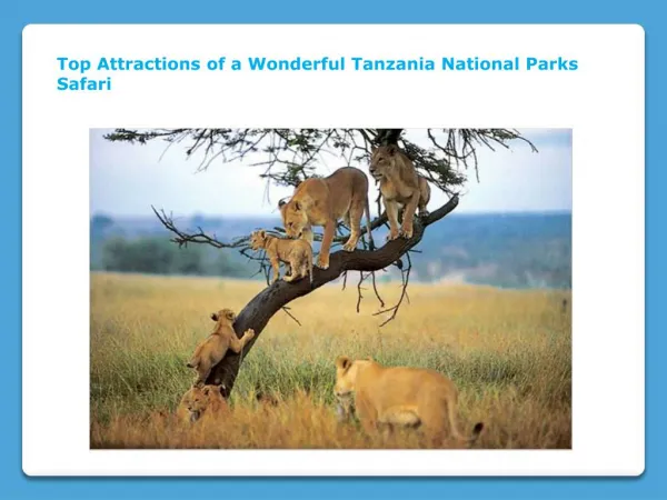 Top Attractions of a Wonderful Tanzania National Parks Safari